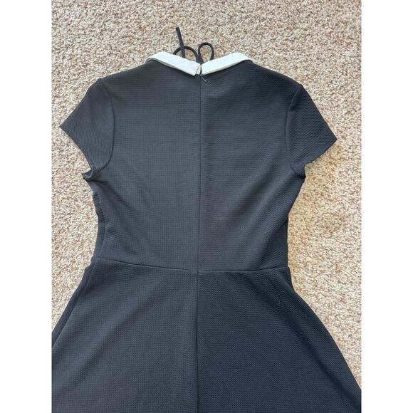 Pappagallo Women's Black midi Dress, size Medium, White Peter Pan collar - Picture 7 of 12